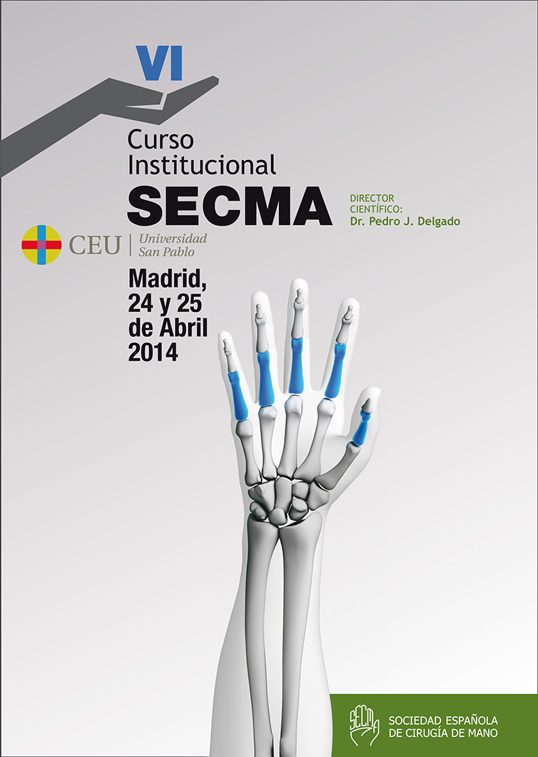 VI Curso Institucional SECMA SECMA