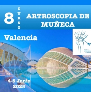 8º CURSO DE ARTROSCOPIA DE MUÑECA @ Valencia