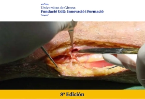 DIPLOMA DE EXPERTO (POSTGRADO)