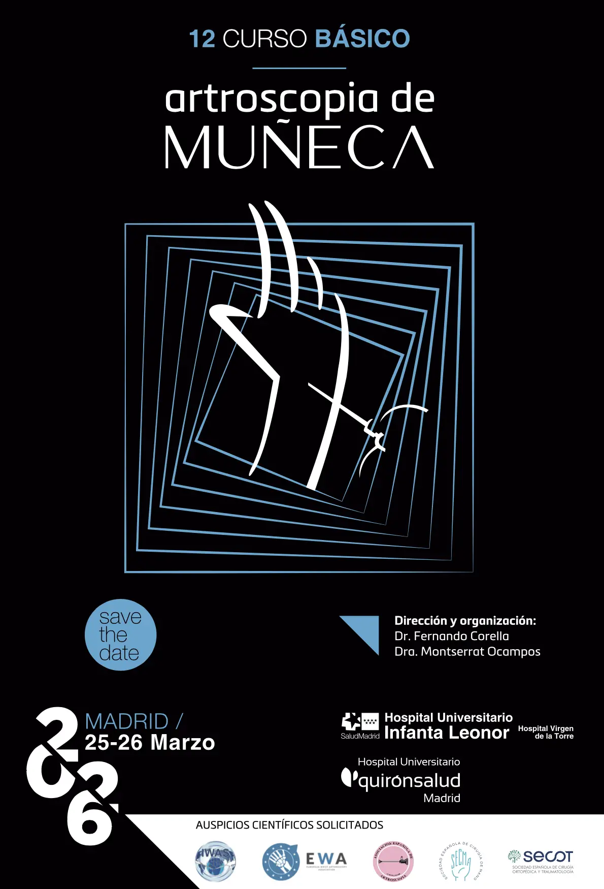 12 Curso básico - Artroscopia de muñeca